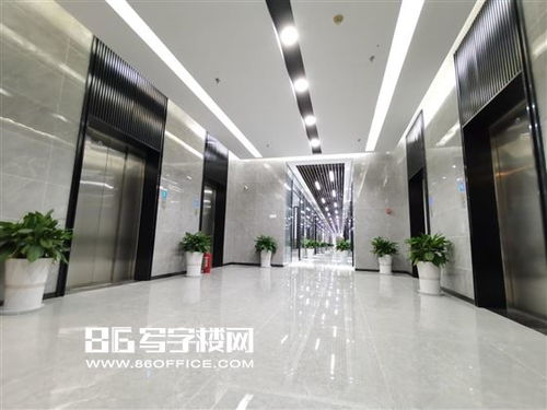 上海交能國(guó)際大廈出租 2號(hào)門地鐵口,精裝全配,國(guó)際貿(mào)易,物流貨代,食品酒類等 86寫字樓網(wǎng)