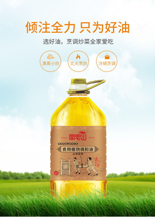 省級扶貧產(chǎn)業(yè)春旺集團(tuán) 閣皂山扶貧產(chǎn)品 食用調(diào)和油 山茶營養(yǎng) 5升裝