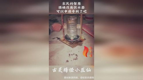 農民的智慧,酒桶改裝飲水器,可以申請專利了吧