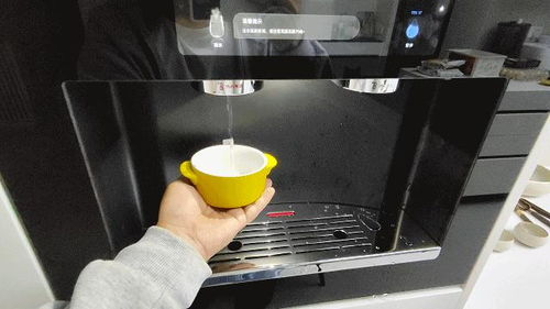 裝修家庭如何選擇嵌入式凈飲機(jī) 買對(duì)產(chǎn)品全家飲用水冰吧一機(jī)搞定