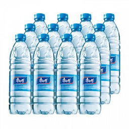 康師傅包裝飲用水550ml 12瓶 整箱
