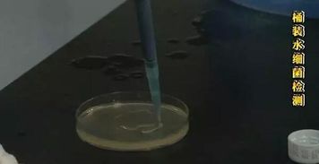 到底誰(shuí)才是導(dǎo)致桶裝水細(xì)菌滋生的罪魁禍?zhǔn)? />
</a>
<span><a href=
