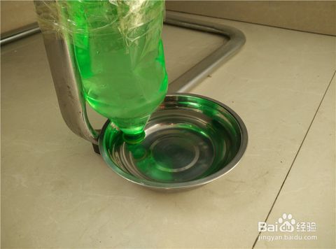 大飲料瓶改造 自動(dòng)洗手瓶 寵物自動(dòng)飲水裝置