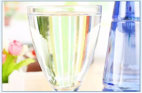 加拿大進口 奧得斯 eau de s ours 天然飲用水410 12 整箱裝