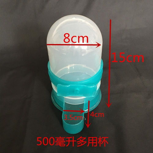 鴿子鸚鵡自動(dòng)飲水器水壺米壺喂食器鳥類足環(huán)信鴿用品貓咪喝水神器